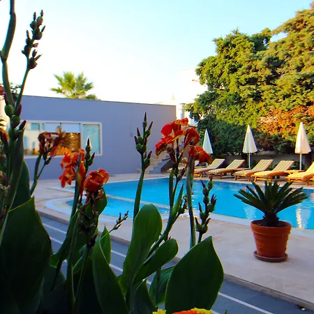 The Losh Hotell Yalıkavak